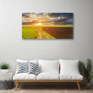 Obraz Canvas Pole nebo slnko príroda 100x50 cm