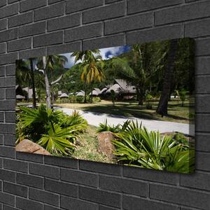 Obraz Canvas Listy palmy stromy príroda 100x50 cm