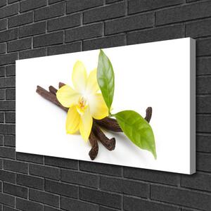 Obraz Canvas Vanilka listy rastlina 100x50 cm