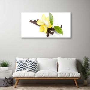 Obraz Canvas Vanilka listy rastlina 100x50 cm