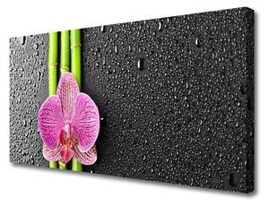 Obraz Canvas Bambus kvet rastlina príroda 100x50 cm