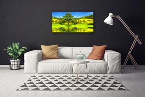 Obraz Canvas Lúka strom príroda 100x50 cm