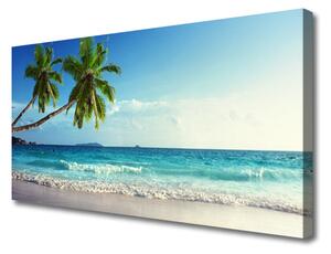 Obraz Canvas More pláž palma krajina 100x50 cm