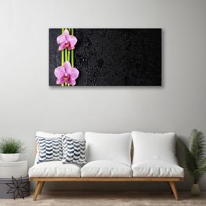 Obraz Canvas Bambus kvet rastlina príroda 100x50 cm