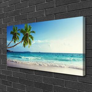 Obraz Canvas More pláž palma krajina 100x50 cm