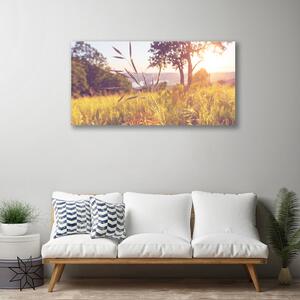 Obraz Canvas Lúka tráva strom príroda 100x50 cm