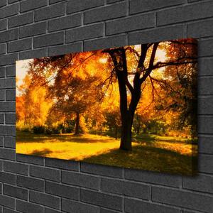 Obraz Canvas Stromy jeseň príroda 100x50 cm