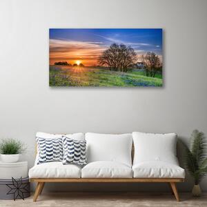 Obraz Canvas Lúka slnko krajina 100x50 cm