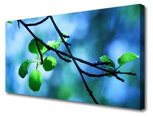 Obraz Canvas Vetva listy rastlina príroda 100x50 cm
