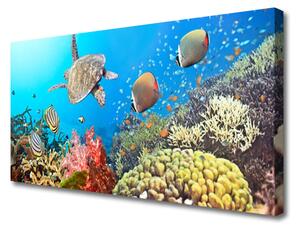 Obraz na plátne Koralový útes krajina 100x50 cm