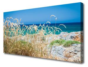 Obraz na plátne Pláž príroda 100x50 cm
