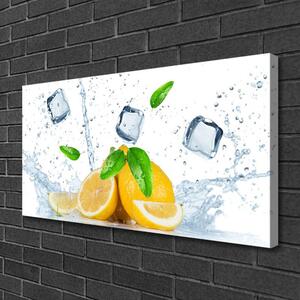 Obraz na plátne Citrón kostka ľadu kuchyňa 100x50 cm