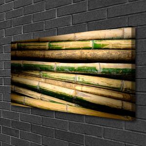 Obraz na plátne Bambus rastlina príroda 100x50 cm
