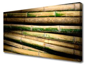 Obraz na plátne Bambus rastlina príroda 125x50 cm