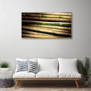 Obraz na plátne Bambus rastlina príroda 100x50 cm