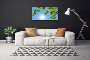 Obraz na plátne Slnko príroda 100x50 cm
