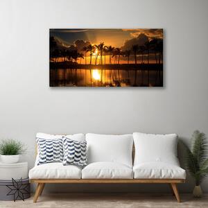 Obraz na plátne Stromy slnko krajina 100x50 cm