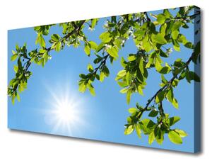 Obraz na plátne Slnko príroda 125x50 cm