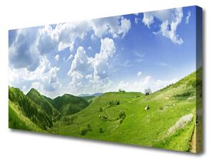 Obraz Canvas Hora lúka príroda 125x50 cm