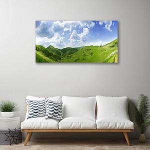 Obraz Canvas Hora lúka príroda 100x50 cm