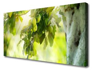 Obraz Canvas Jablká vetva strom príroda 100x50 cm