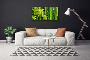 Obraz Canvas Bambus listy rastlina 100x50 cm