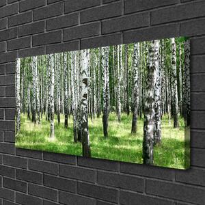 Obraz Canvas Les tráva rastlina príroda 100x50 cm