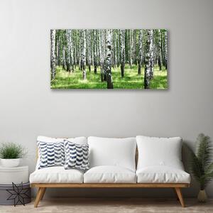 Obraz Canvas Les tráva rastlina príroda 100x50 cm