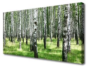 Obraz Canvas Les tráva rastlina príroda 125x50 cm