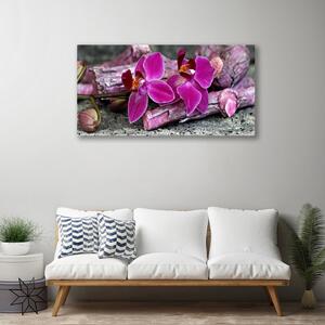 Obraz Canvas Drevo kvety rastlina príroda 100x50 cm