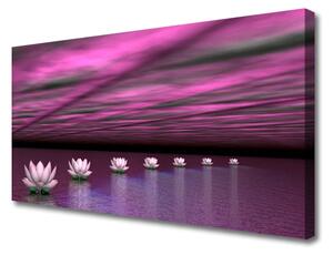 Obraz Canvas Kvety voda rastlina príroda 100x50 cm