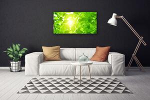 Obraz Canvas Listy príroda slnko rastlina 100x50 cm