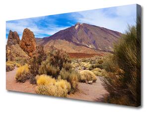 Obraz Canvas Hory rastliny skaly krajina 100x50 cm