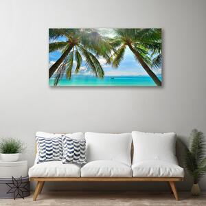 Obraz Canvas Palma strom more krajina 100x50 cm