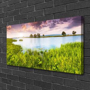 Obraz Canvas Tráva jazero príroda 100x50 cm