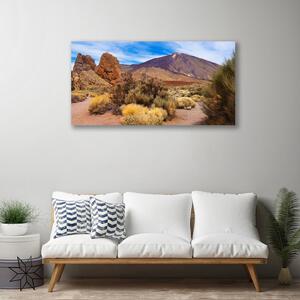 Obraz Canvas Hory rastliny skaly krajina 100x50 cm