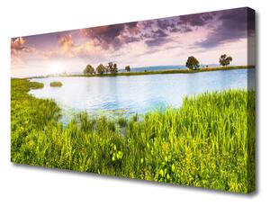Obraz Canvas Tráva jazero príroda 100x50 cm