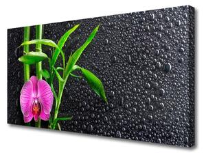 Obraz Canvas Bambus kvet kvapky 125x50 cm