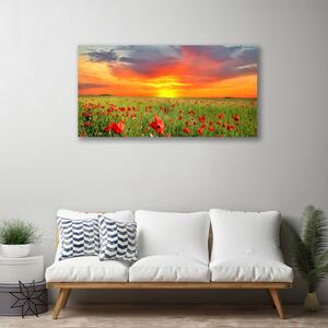 Obraz Canvas Maky slnko rastlina príroda 100x50 cm