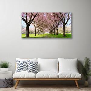 Obraz Canvas Chodník stromy príroda 100x50 cm