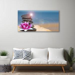 Obraz Canvas Kamene kvet umenie 100x50 cm