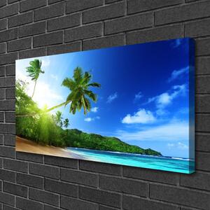 Obraz Canvas Pláž more palma krajina 100x50 cm