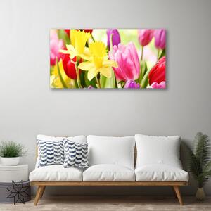 Obraz Canvas Kvety rastlina príroda 100x50 cm