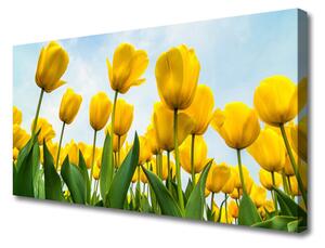 Obraz Canvas Tulipány kvety rastlina 125x50cm