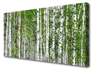 Obraz na plátne Breza les stromy príroda 100x50 cm