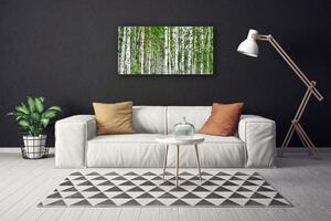 Obraz na plátne Breza les stromy príroda 100x50 cm