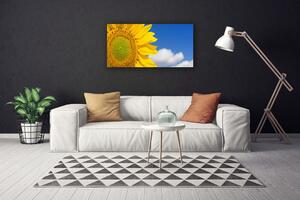 Obraz na plátne Slnečnica mraky 100x50 cm