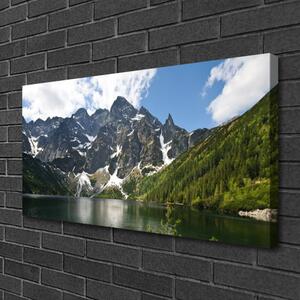 Obraz na plátne Hora jazero les príroda 100x50 cm