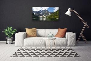 Obraz na plátne Hora jazero les príroda 100x50 cm