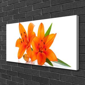Obraz na plátne Oranžové kvety 100x50 cm